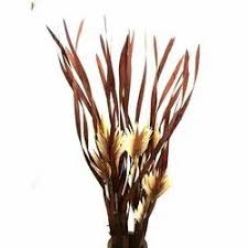 Decorative Dried Stick